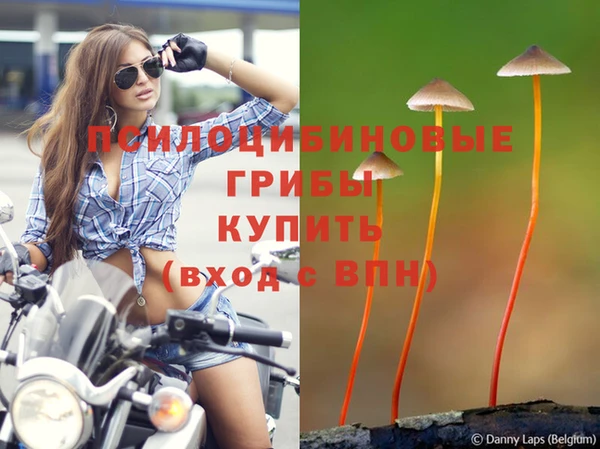 мяу мяу мука Верхнеуральск